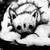 :iconsilentall999: