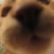 :iconsilentangelz: