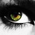 :iconsilentcatgonewild: