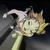 :iconsilentinsomnia: