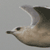 :iconsilentkitsune: