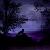 :iconsilentmidnightwolf: