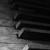 :iconsilentorchestra876: