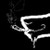 :iconsilentpaws: