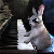 :iconsilentplannet: