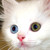 :iconsilentpo: