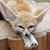:iconsilentripples: