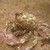 :iconsilentscuba: