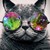 :iconsilentstrike90: