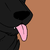 :iconsilentswords: