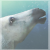 :iconsilentwillow08: