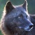 :iconsilentwolvescos: