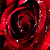 :iconsilentxangel: