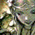 :iconsilentxraven: