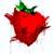 :iconSilentxRose: