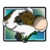 :iconsilfox28: