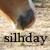 :iconsilhday: