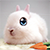 :iconsiliconecarnee: