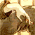 :iconsilk-crush: