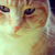 :iconsilk-kisses: