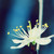 :iconsilk-shadow: