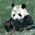 silkenwo :iconsilkenwo: