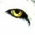 :iconsilkiessunring: