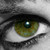 :iconsilkspettre: