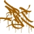 :iconSilly-Argh: