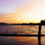 :iconsilly-monkey-kitten: