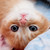 :iconsillyphotography: