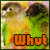 :iconsilmanarre: