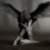 :iconsilvaspiritus: