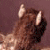 :iconsilvbullet: