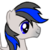 :iconsilver--dash: