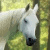 :iconSilver--Moon: