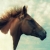 :iconsilver--moon: