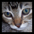 :iconsilver-claws: