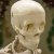 :iconsilver-darkness: