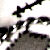 :iconsilver-elph: