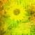 :iconsilver-gins: