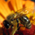 :iconsilver-princess: