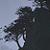 :iconsilver-shadow-light: