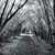 :iconsilver-shards: