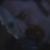 :iconsilver-slide: