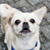 :iconsilver-t: