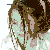 :iconsilver-tear: