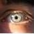 :iconsilver-white-kitsune: