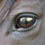 :iconsilver4serenity: