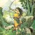 :iconsilverarcher1312: